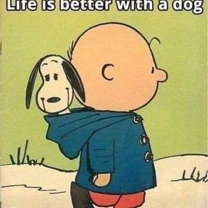 Meet your Posher, Lance